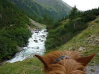 /album/engadin/p1000469-kl-jpg/